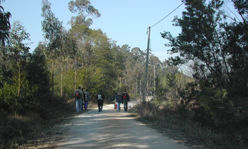 2005 ACAJOV