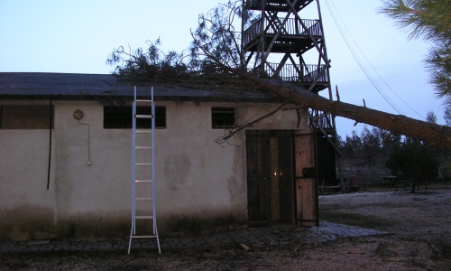 2010 Vendaval