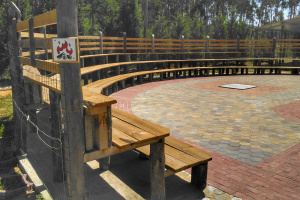 Arena de Fogo