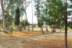 Local para acampamento